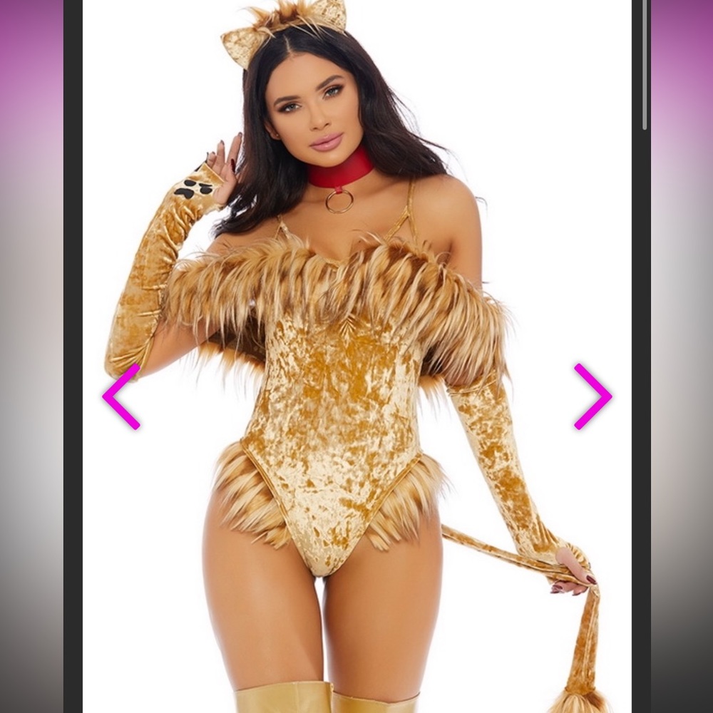 Lion Costume